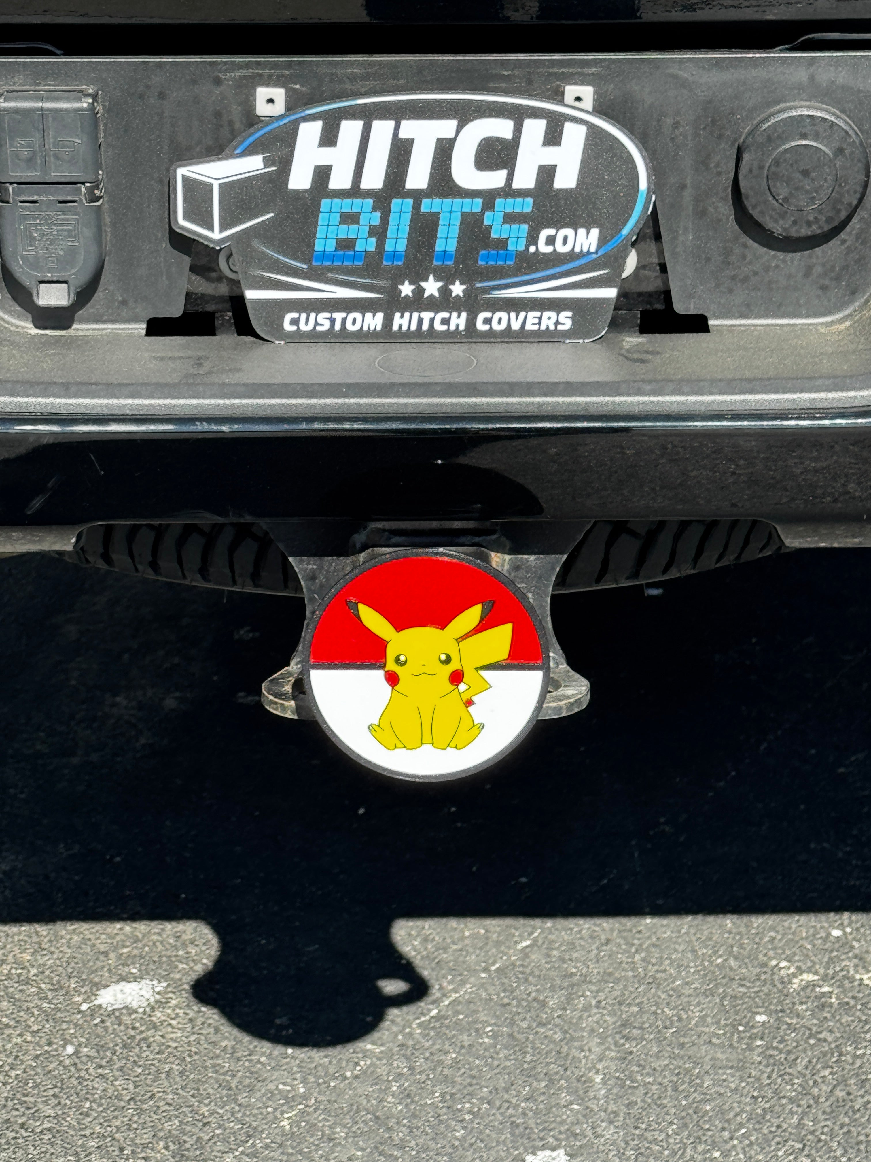 Pikachu Pokeball